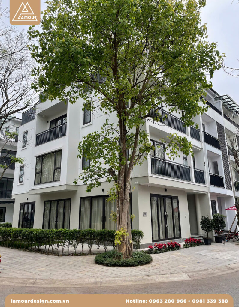 Hình ảnh nhà phố liền kề không gian đẹp